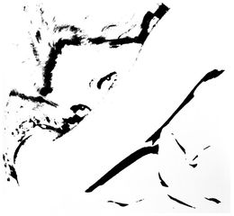 Photography, Les Yeux de..., D-A Woisard