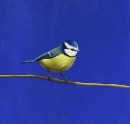 Painting, Mésange bleue, Elyo